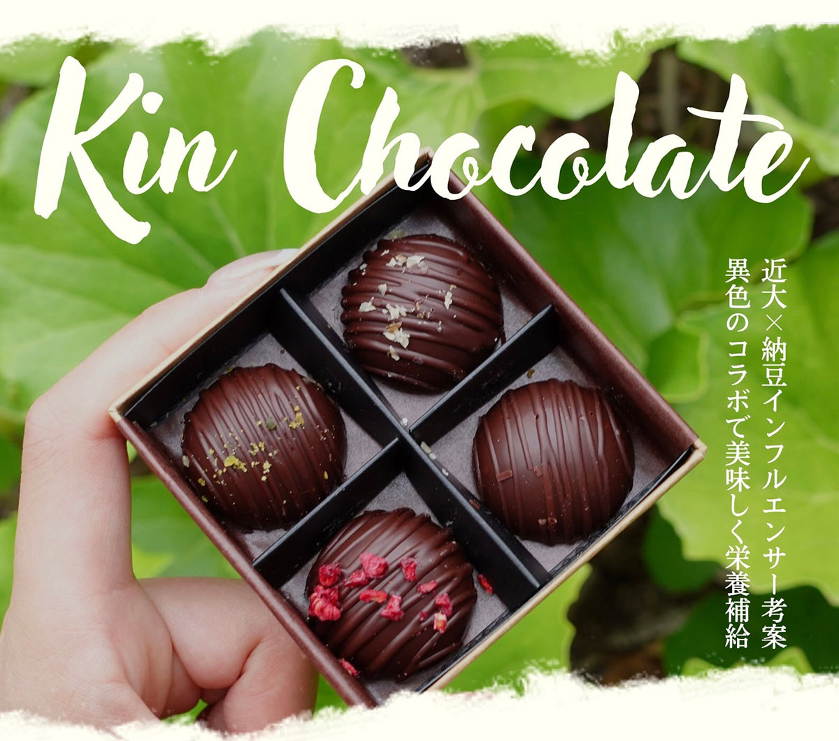 Kin Chocolate